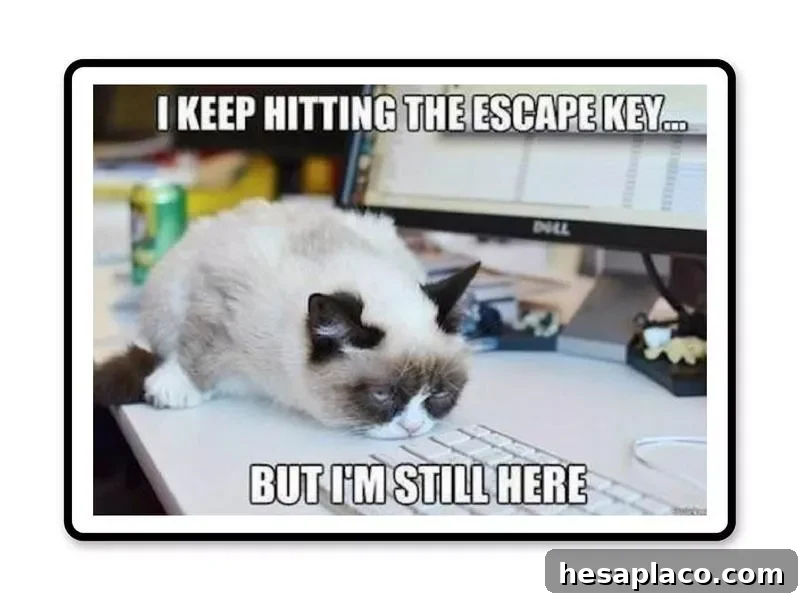 Escape key