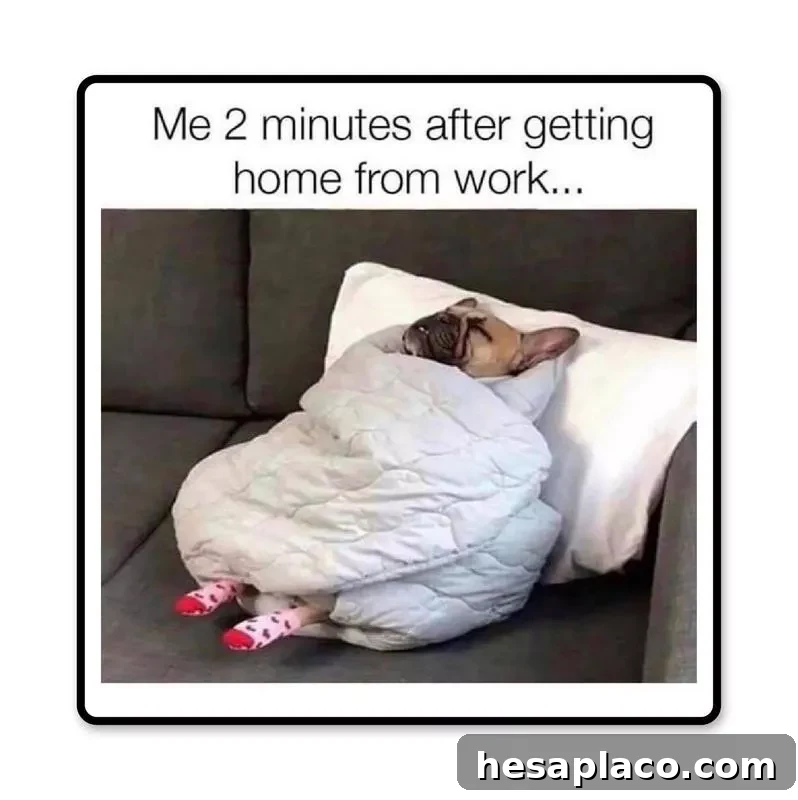 Home from work