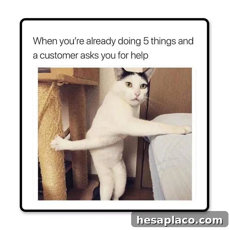 Busy