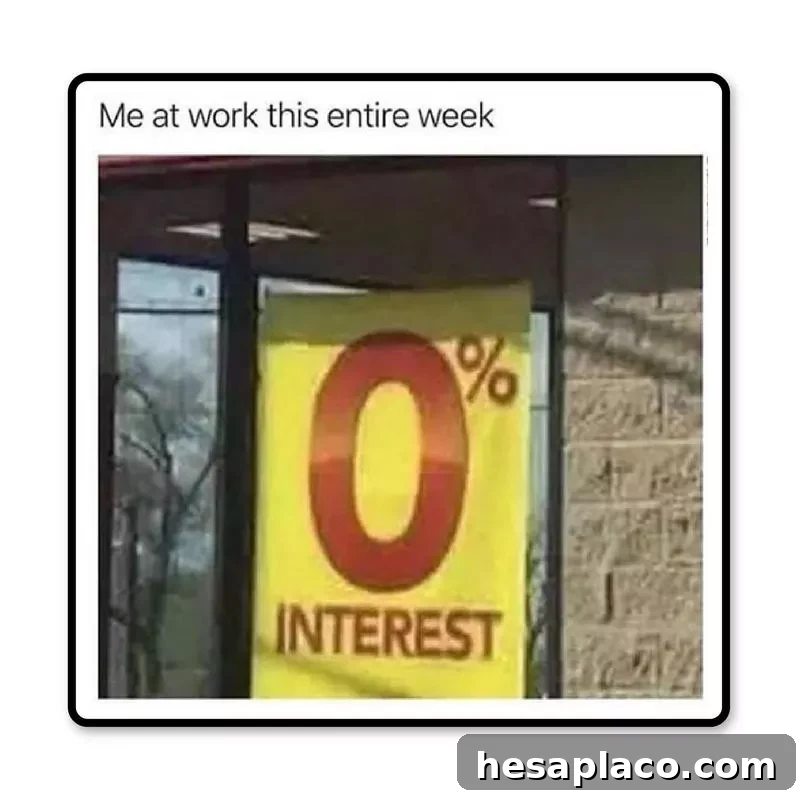 Zero percent interest