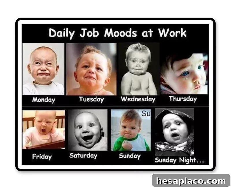 Daily job moods at work