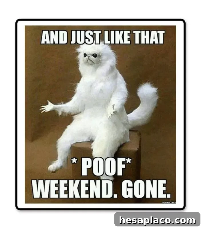 Weekend
