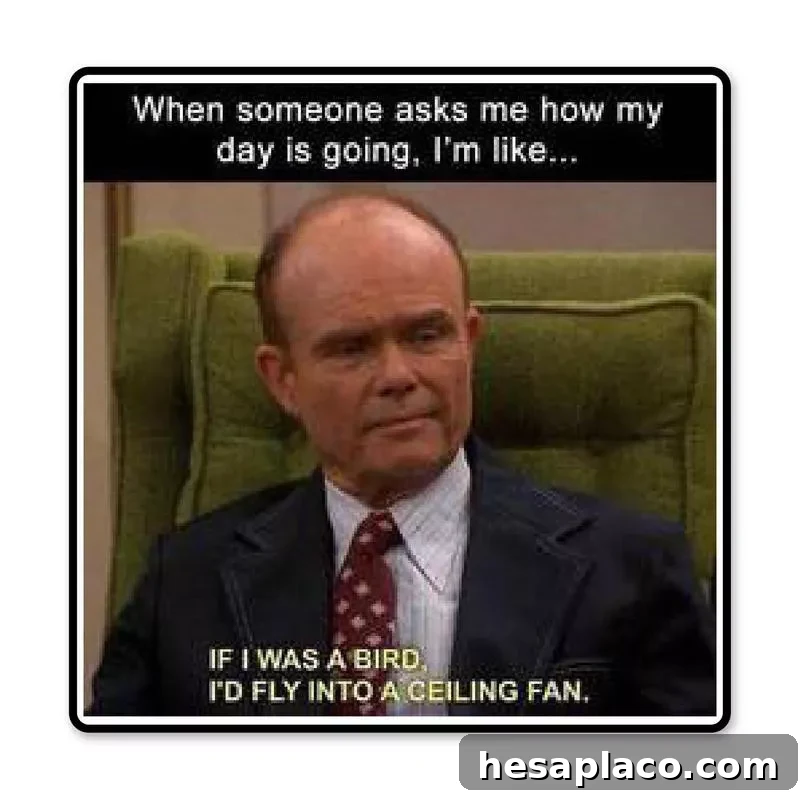 How's your day