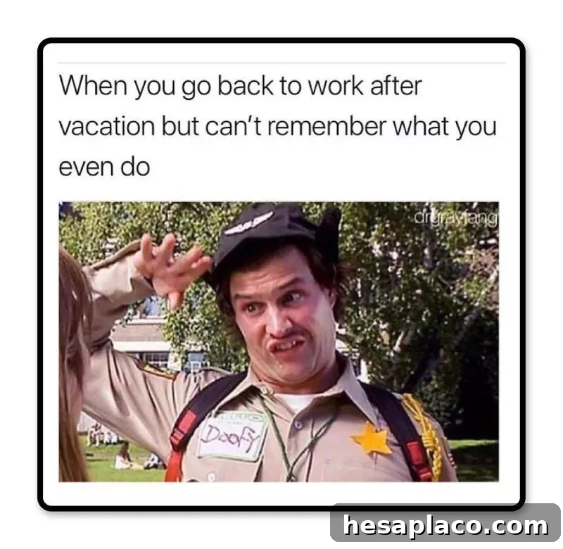 Back to work