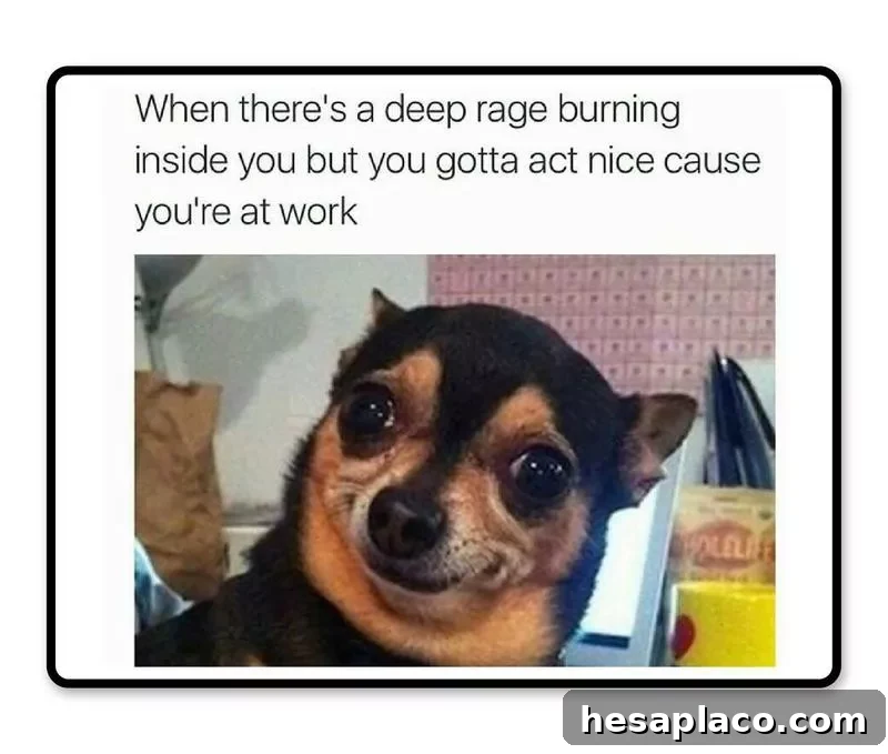 Stay calm
