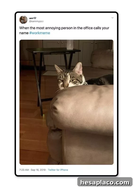 Annoying co-worker