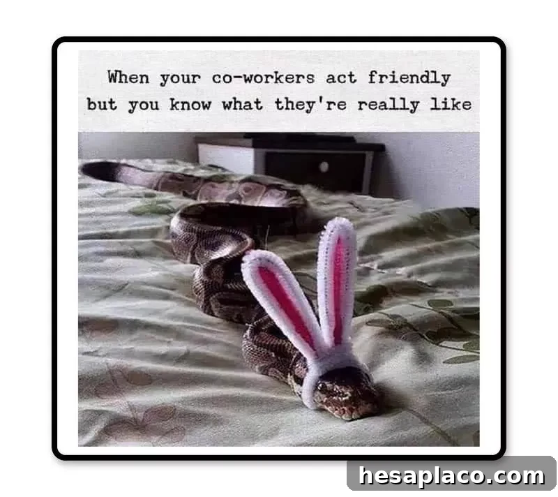 Beware of snakes