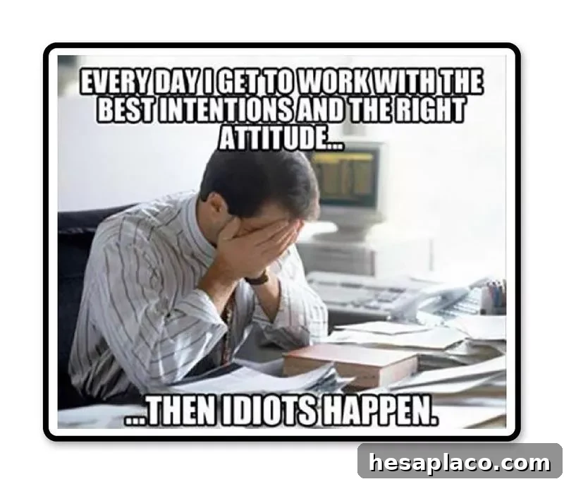 Idiots happen