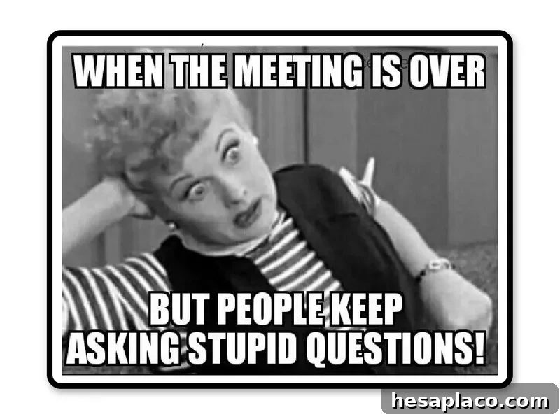 No questions at meetings