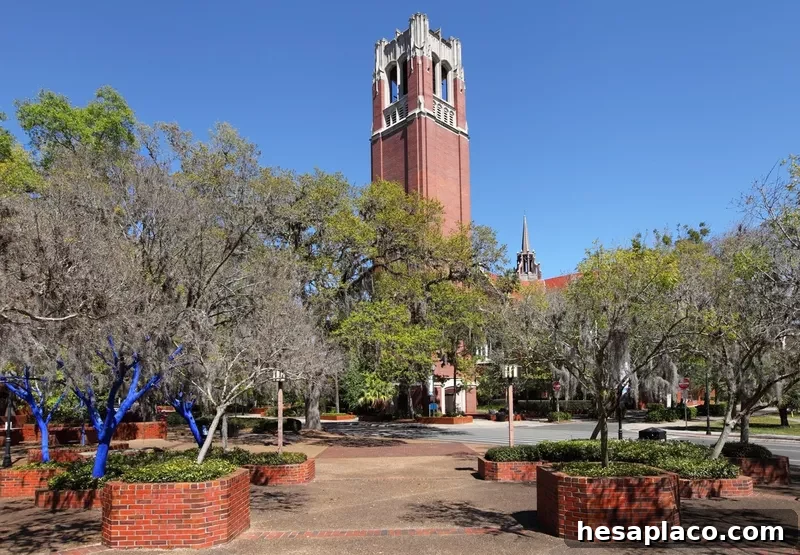 University of Florida
