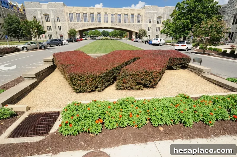 Virginia Tech