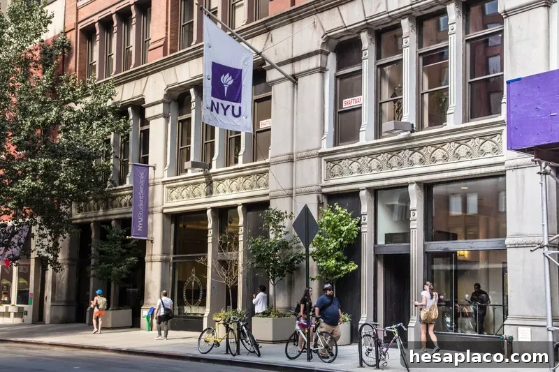 New York University