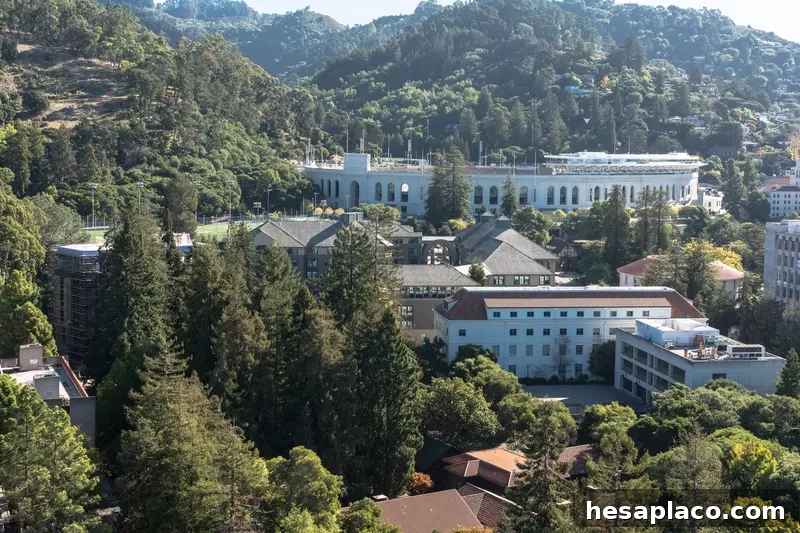 UC Berkeley