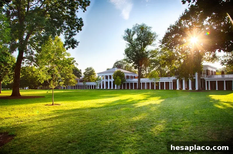 University of Virginia