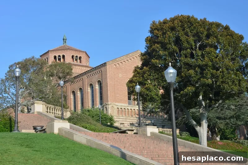 UCLA