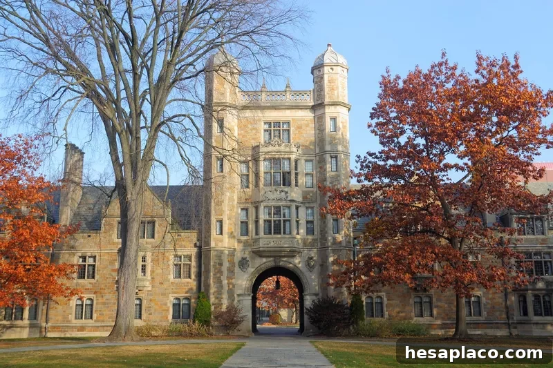 University of Michigan
