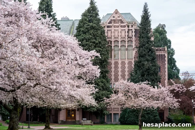 University of Washington