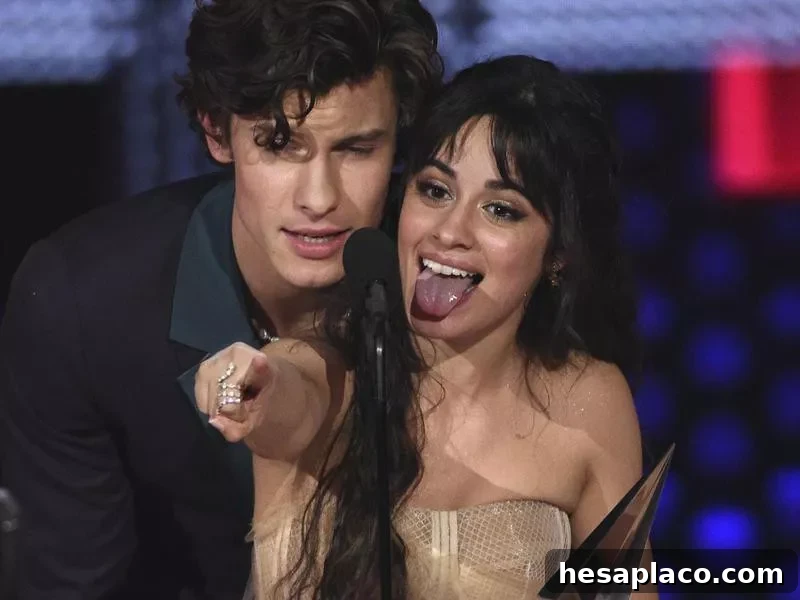 Camila Cabello and Shawn Mendes