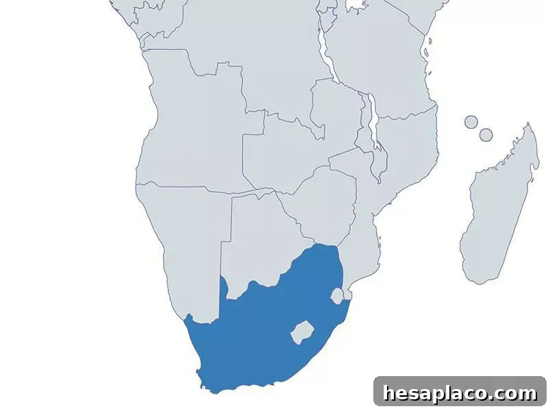 South Africa