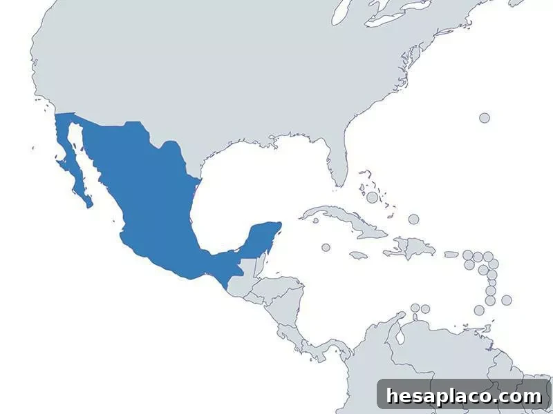 Mexico