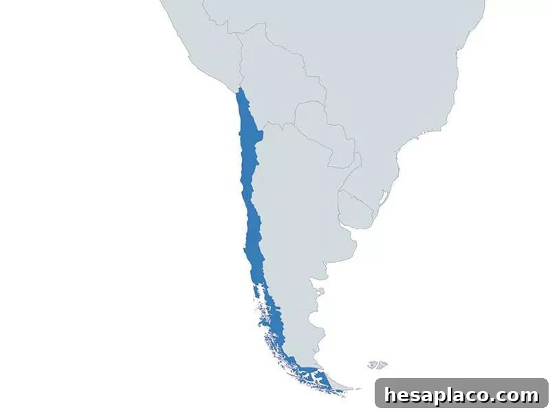 Chile