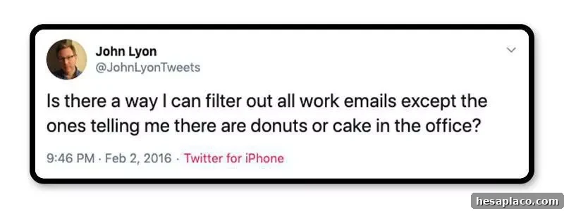 Donuts cheer