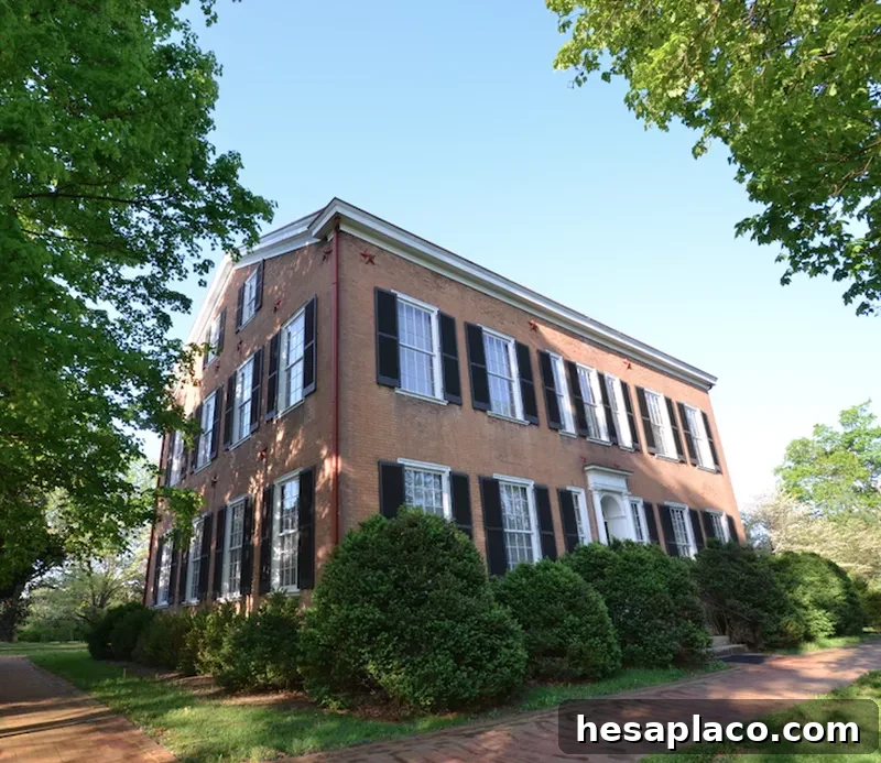 Federal Hill