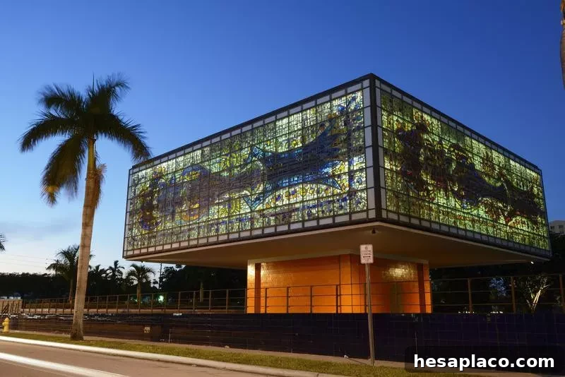 miami bacardi