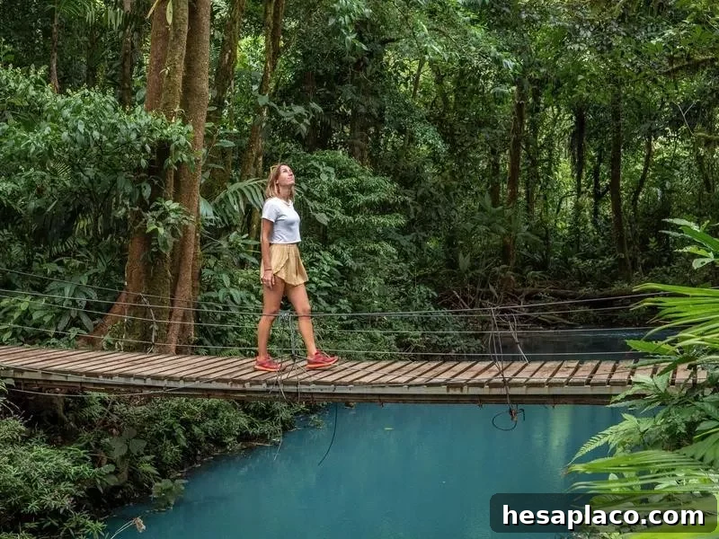 Rainforest in Costa Rica