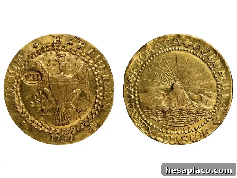 1787 Brasher Doubloon, EB Punch on Wing