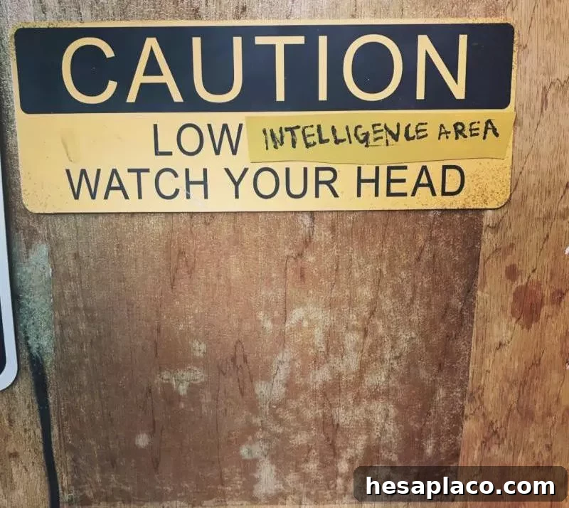 Low intelligence
