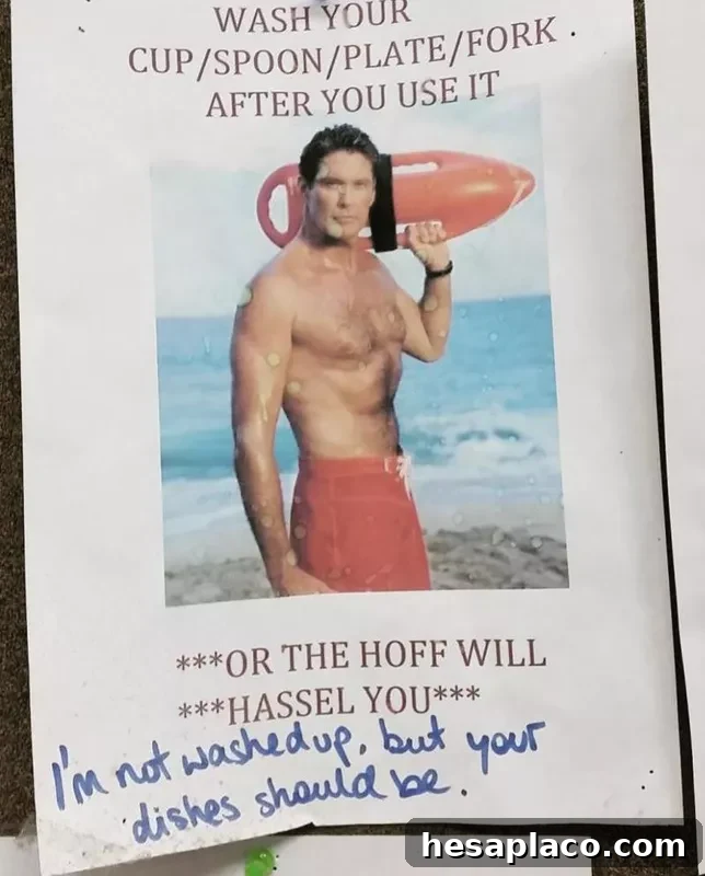 David Hasselhoff joke