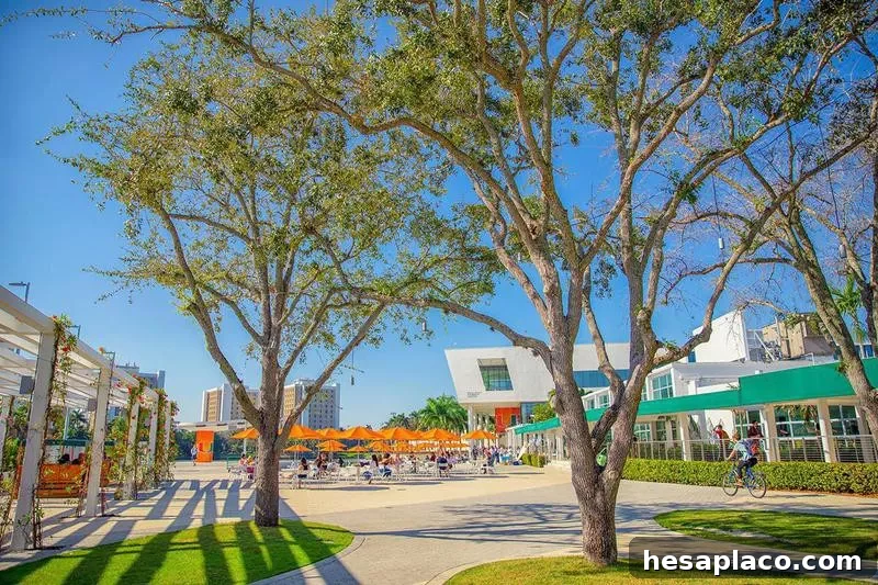 University of Miami