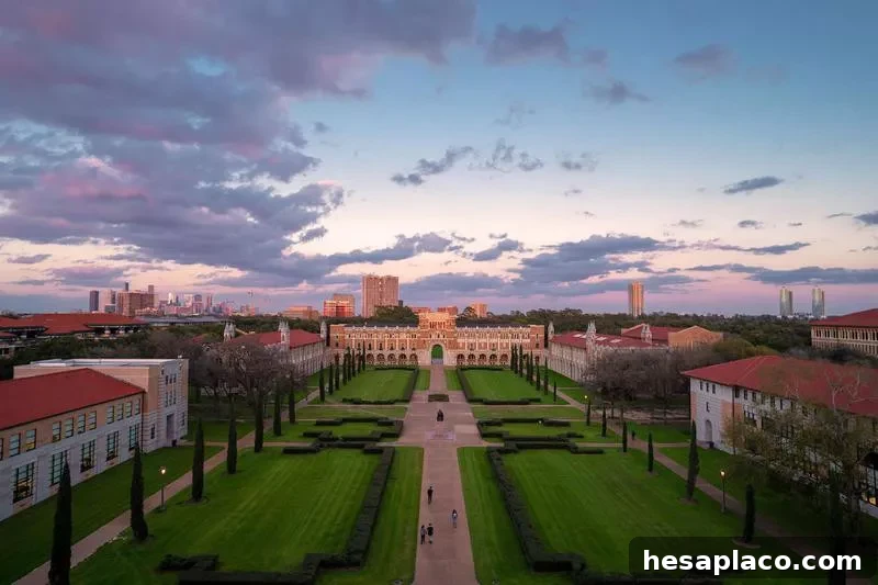 Rice University