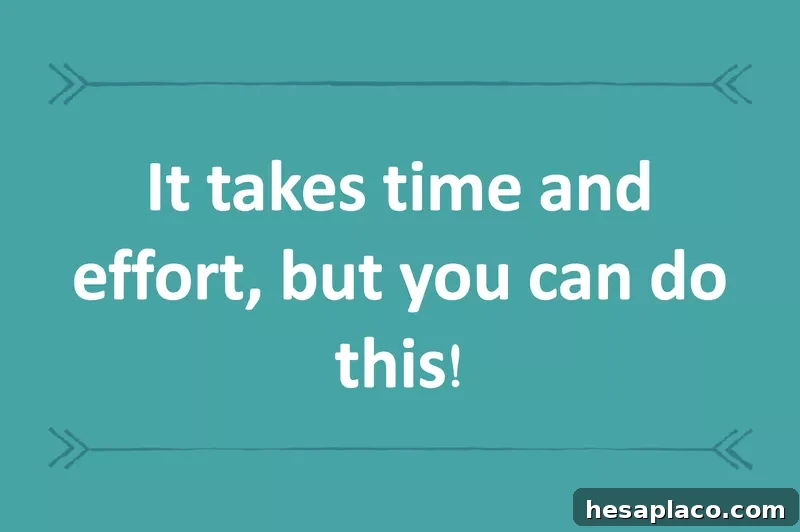 Repairing credit takes time