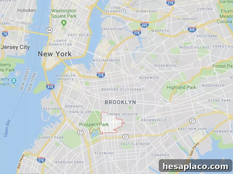 Brooklyn 11225