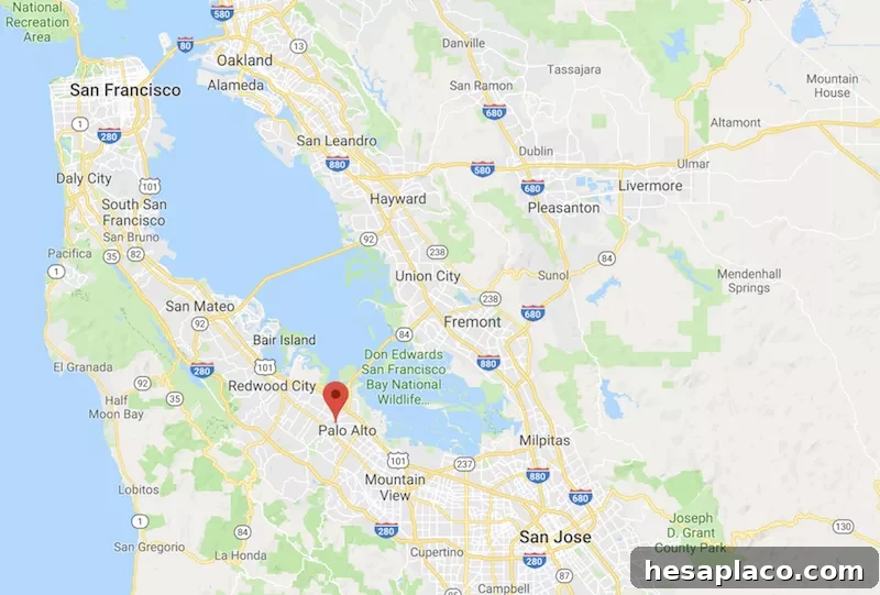 Palo Alto 94301