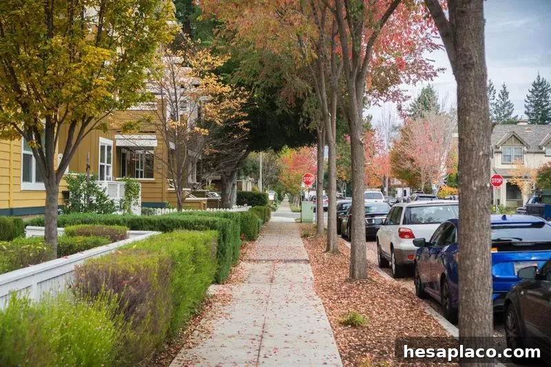 Palo Alto