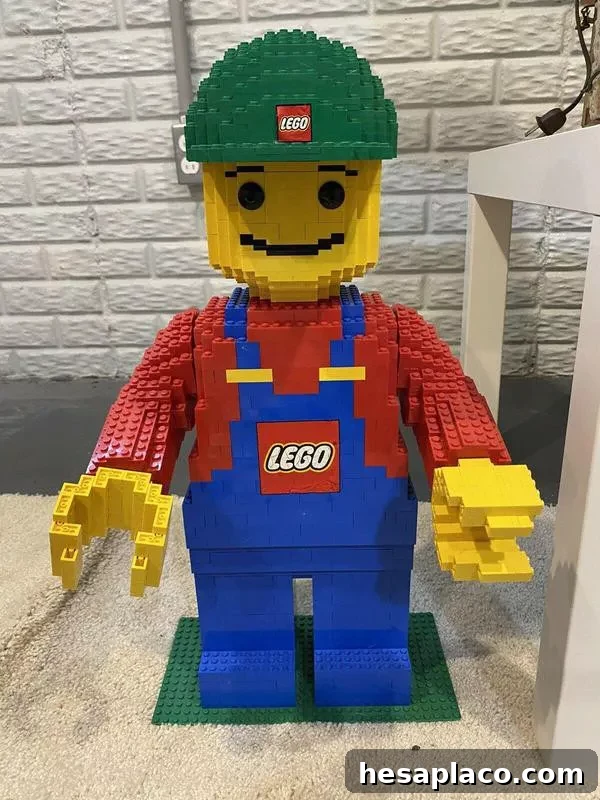 Lego Minifigure 3723