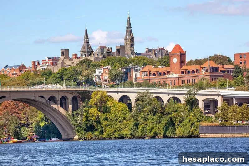 georgetown university