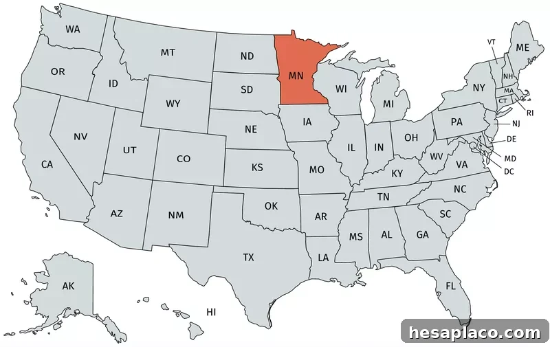 MN Education