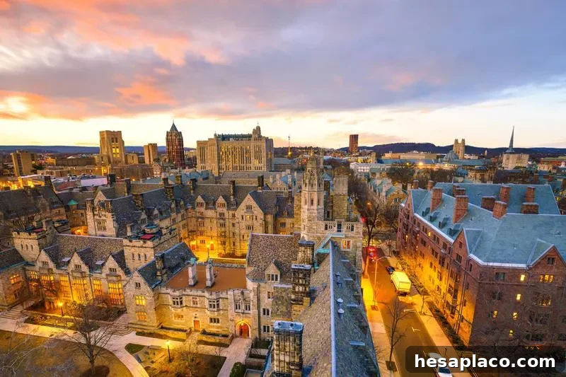 Yale University