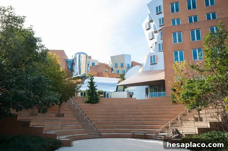 Massachusetts Institute of Technology