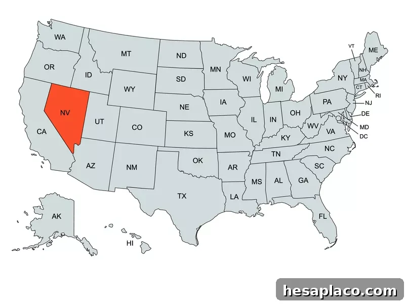 Nevada Education Map