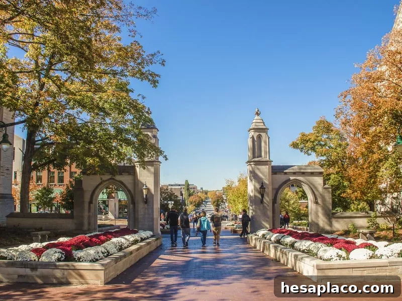 University of Indiana