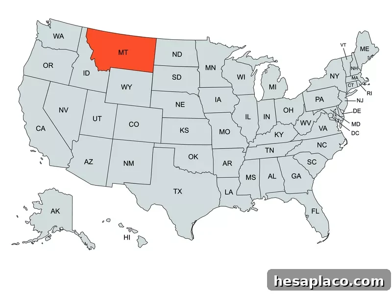 Montana Map