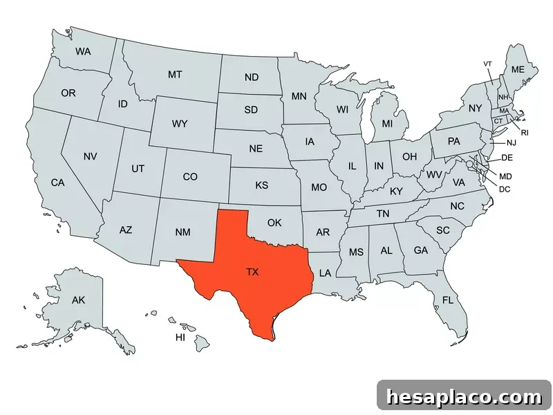 Texas Map