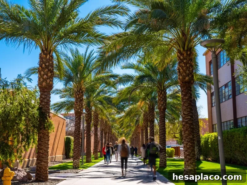 Palm Walk on the Arizona State University Tempe campus