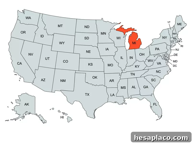 Michigan Map