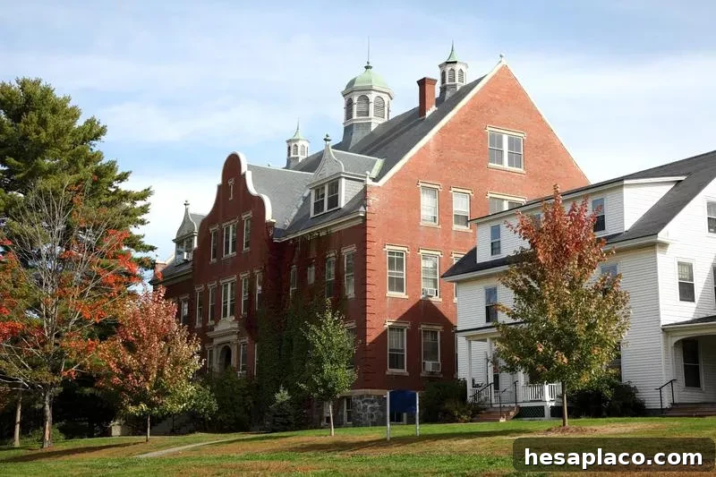 University of Maine